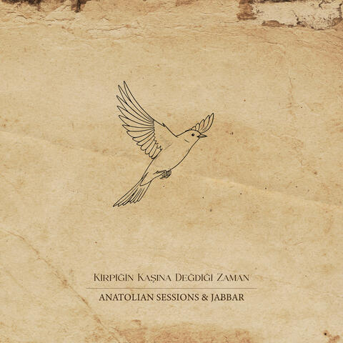 Kirpiğin Kaşına Değdiği Zaman album art
