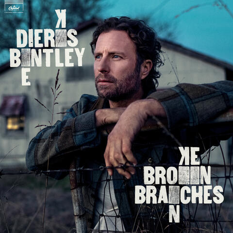 Broken Branches album art