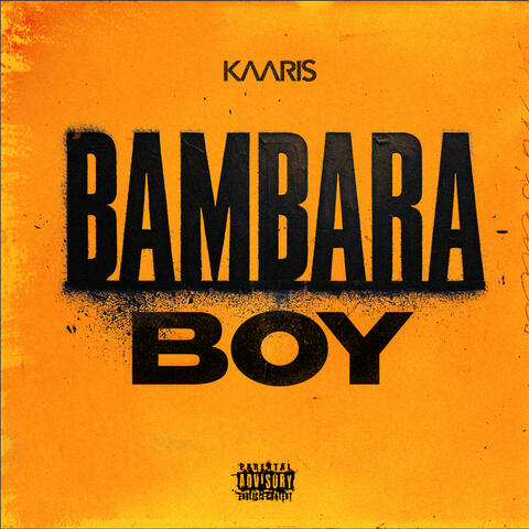 Bambara Boy album art