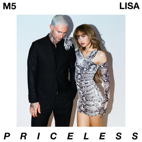 Priceless album art