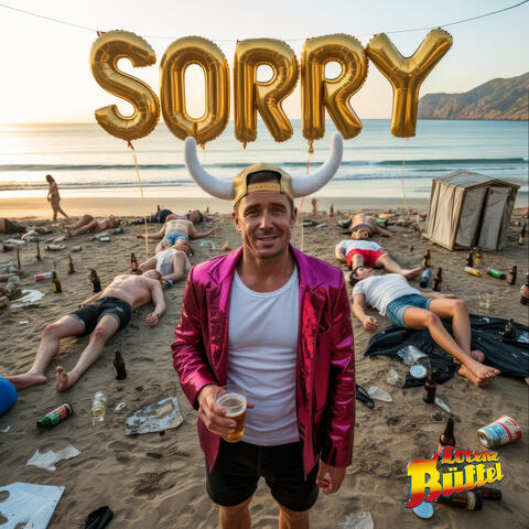 Sorry album art