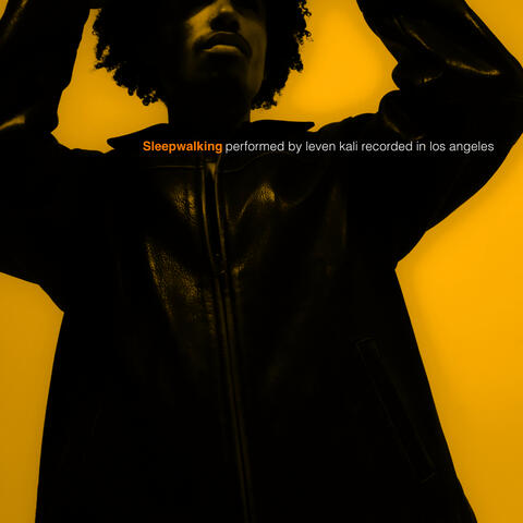 Sleepwalking album art
