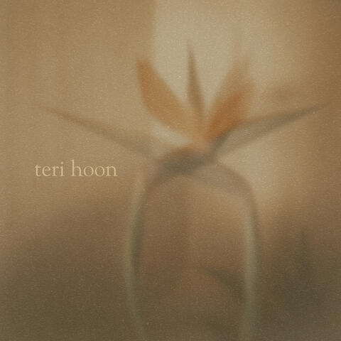 Teri Hoon album art