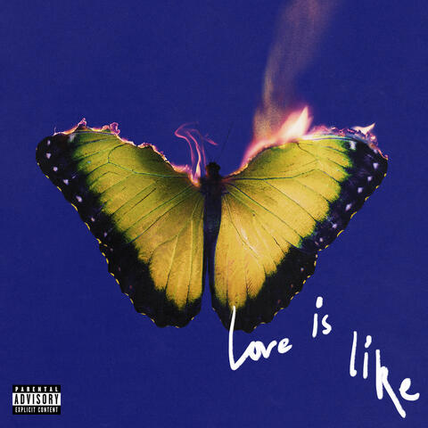 All Night album art