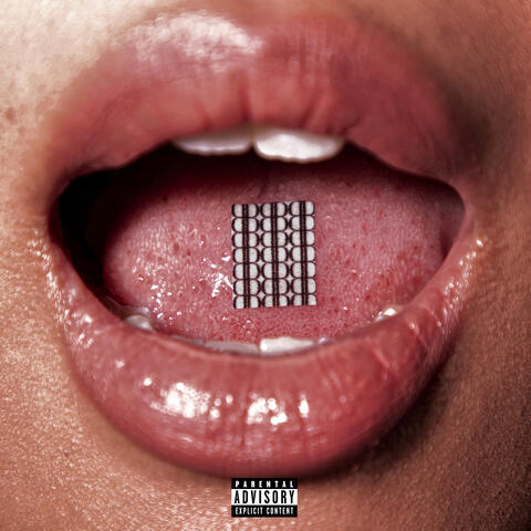 OWA OWA album art