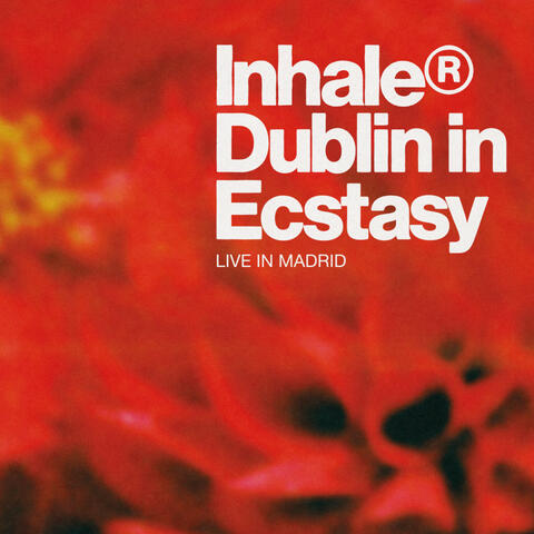 Dublin in Ecstasy album art