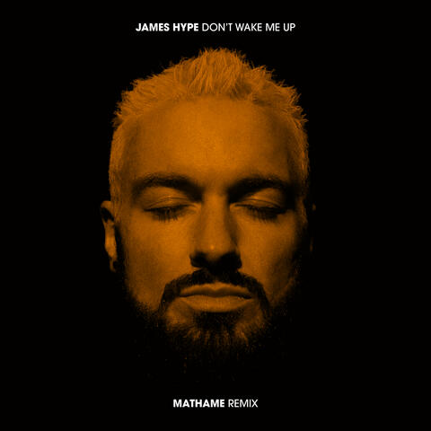 Don't Wake Me Up album art