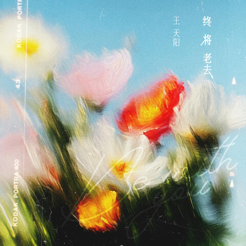 终将老去 album art