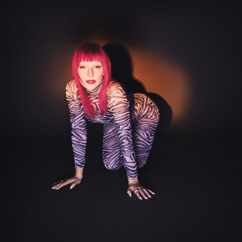 A Little Bit Wild album art