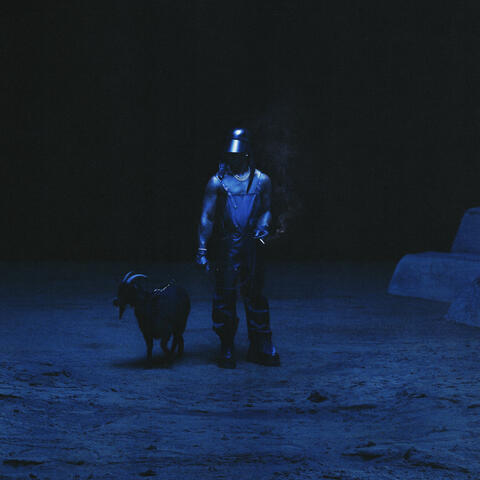Bodies album art