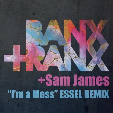 I'm A Mess album art