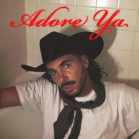 Adore Ya album art