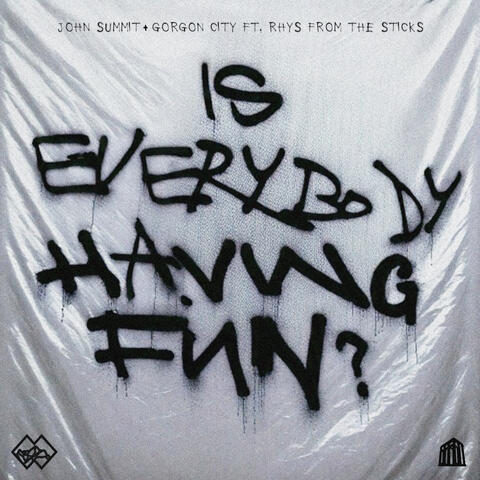 Is Everybody Having Fun? album art
