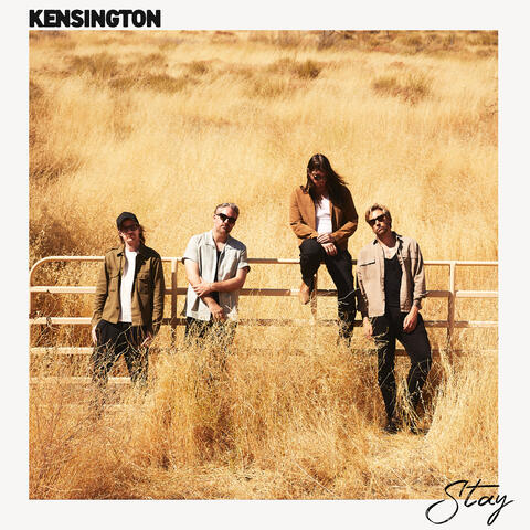 Stay album art