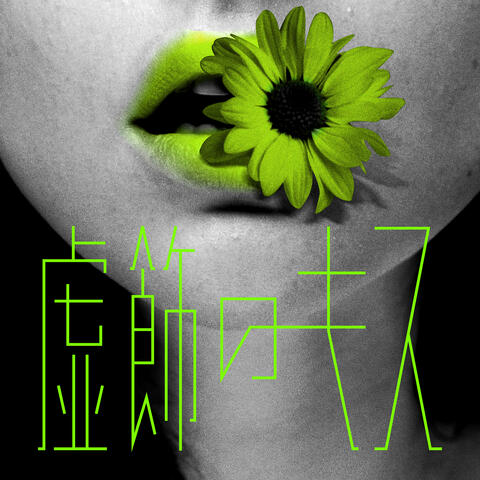 Vanity Kiss album art
