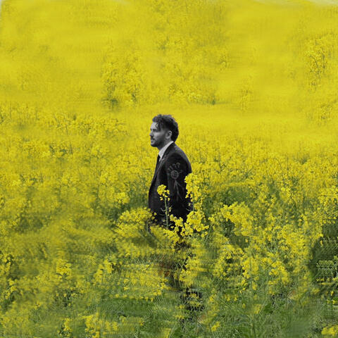 HJERTER I REPRISE album art