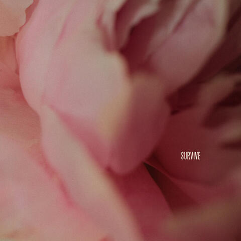 Survive album art