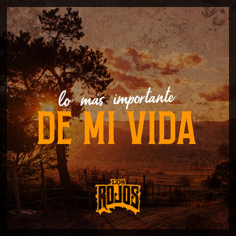 Lo Más Importante De Mi Vida album art