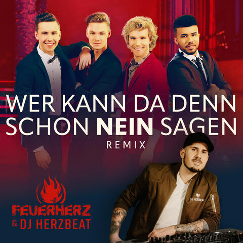 Wer kann da denn schon nein sagen? album art
