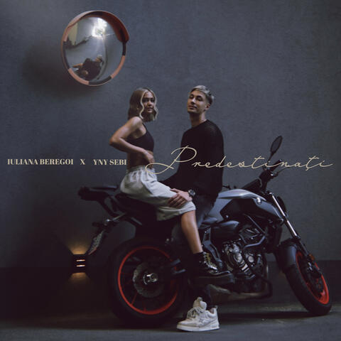 Predestinați album art