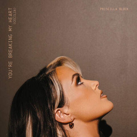 You’re Breaking My Heart (Cecilia) album art