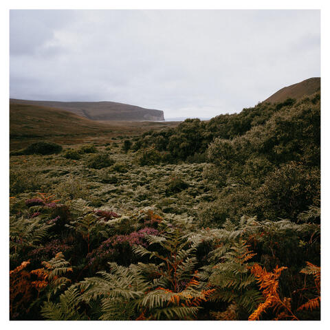 Berriedale on Hoy album art