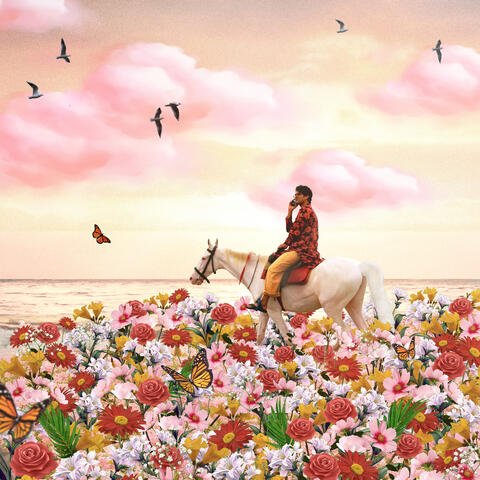 Faza album art