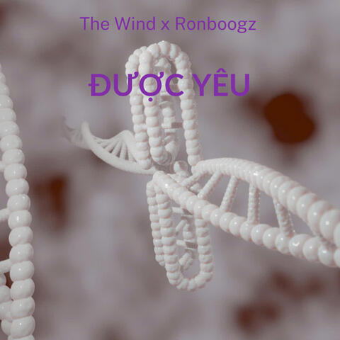 Được yêu album art