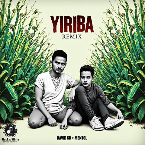 YIRIBA album art