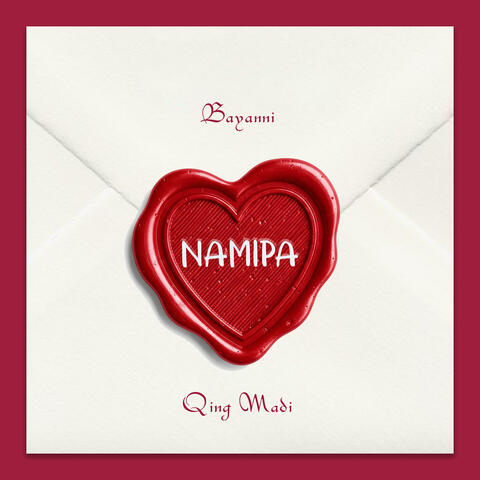 Namipa album art