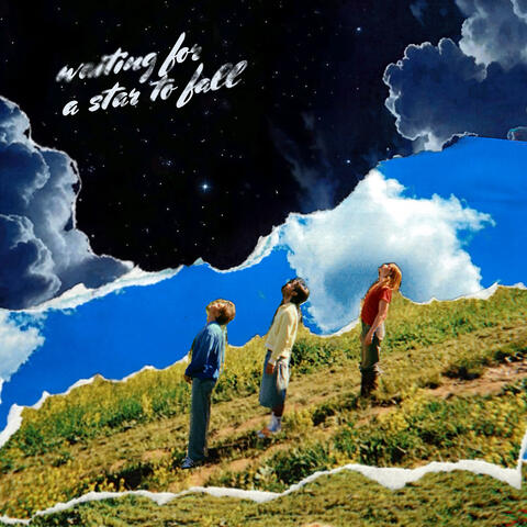 Waiting For A Star To Fall album art