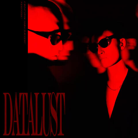 数据欲潮 album art