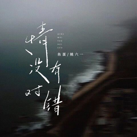 情没有对错 album art