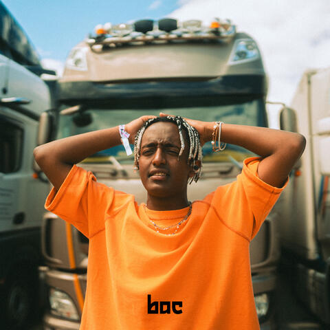 Beifahrersitz album art