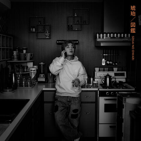 Kohaku / Zukan album art