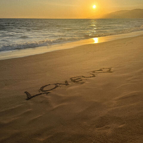 L.O.V.E.U album art
