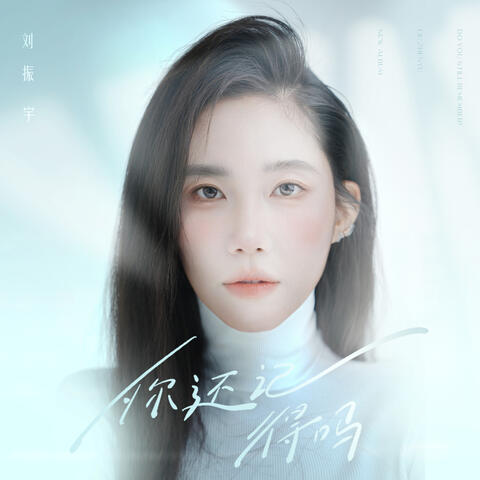 你还记得吗 album art