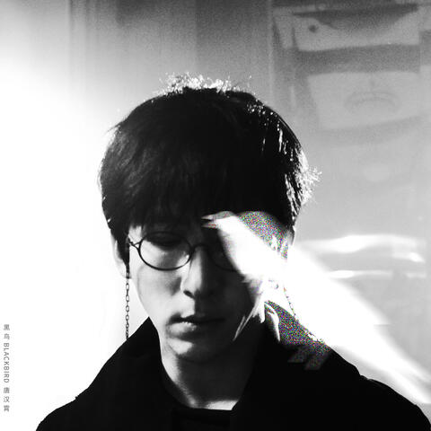 黑鸟 album art
