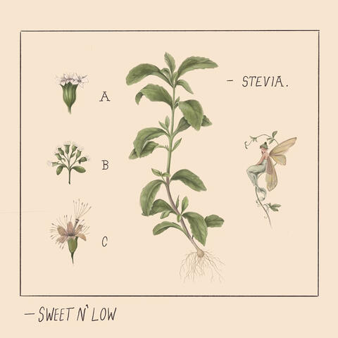 Sweet n' Low album art