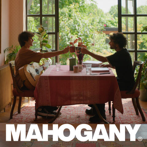 aron! plays mahogany album art