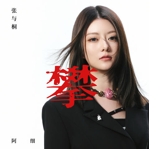 攀 album art