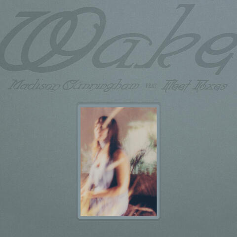 Wake album art