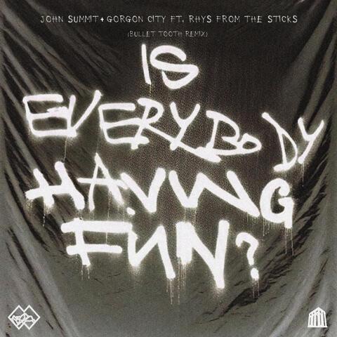 Is Everybody Having Fun? album art