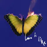 Image of Love Is Like