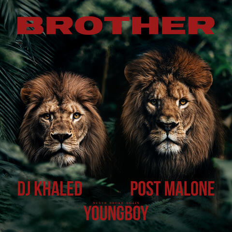 Brother album art