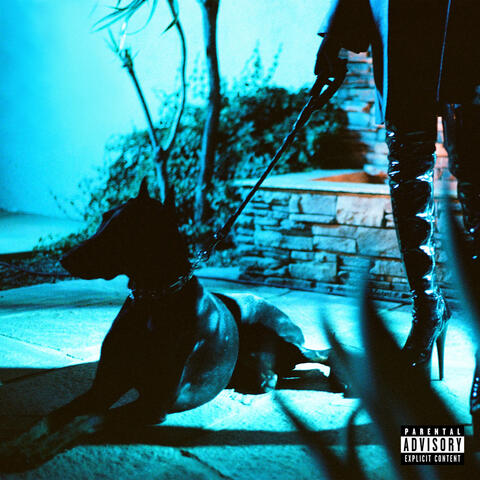 YES IT IS album art