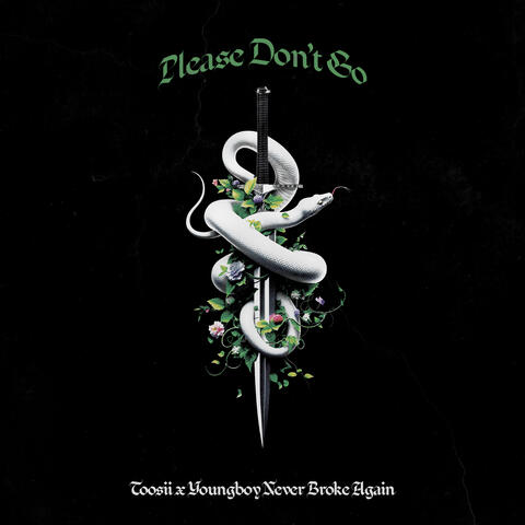Please Don't Go album art