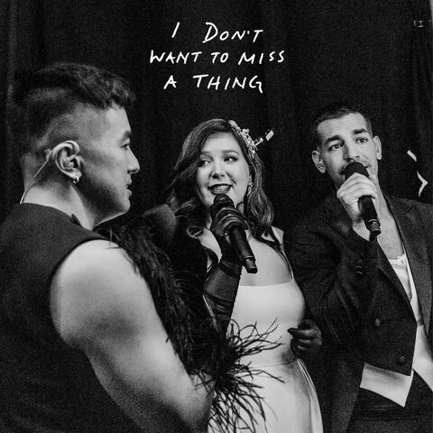 I Don't Want To Miss A Thing album art