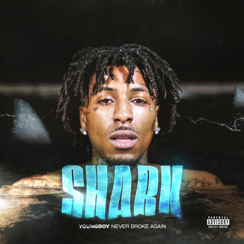 Shark album art