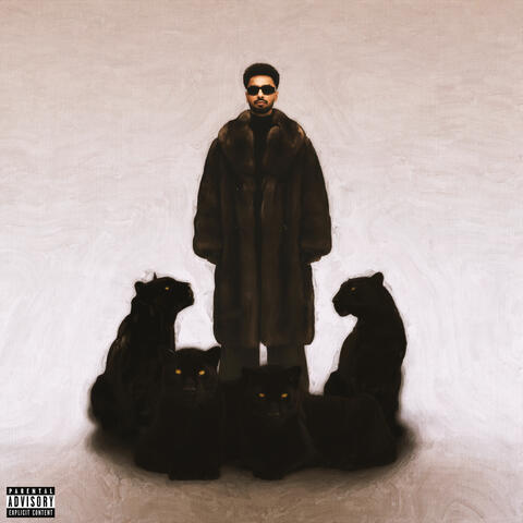 House Navior album art